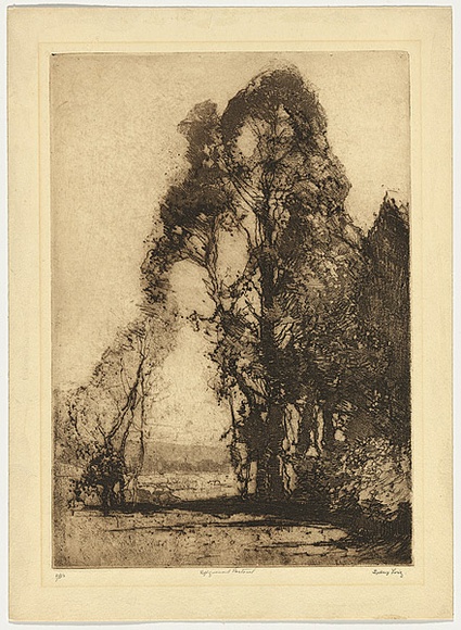 Artist: b'Long, Sydney.' | Title: b'Pastoral softground' | Date: 1918 | Technique: b'softground-etching, printed in brown ink with plate-tone, from one zinc plate' | Copyright: b'Reproduced with the kind permission of the Ophthalmic Research Institute of Australia' Artist: b'Long, Sydney.' | Title: b'Pastoral softground' | Date: 1918 | Technique: b'softground-etching, printed in brown ink with plate-tone, from one zinc plate' | Copyright: b'Reproduced with the kind permission of the Ophthalmic Research Institute of Australia'