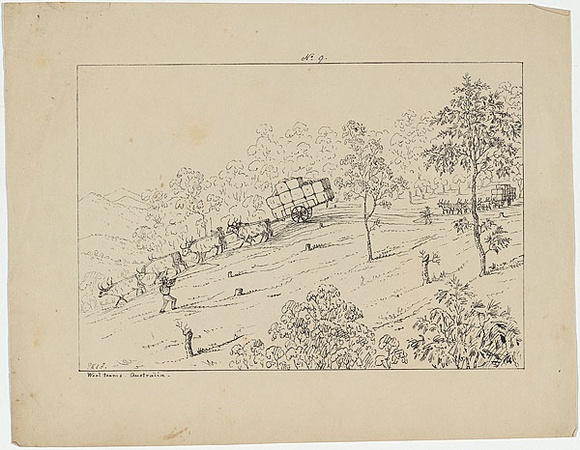 Artist: b'Fairholme, George Knight Erskine.' | Title: b'Wool teams. Australia. [going down the hill].' | Date: c.1853 | Technique: b'lithograph, printed in black ink, from one stone'