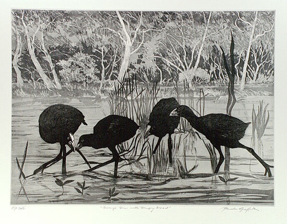 Artist: b'GRIFFITH, Pamela' | Title: b'Swamp Hen and hungry brood' | Date: 1989 | Technique: b'hard ground, aquatint, soft ground, sugarlift, burnishing, printed in black ink, from one copper plate' | Copyright: b'\xc2\xa9 Pamela Griffith' Artist: b'GRIFFITH, Pamela' | Title: b'Swamp Hen and hungry brood' | Date: 1989 | Technique: b'hard ground, aquatint, soft ground, sugarlift, burnishing, printed in black ink, from one copper plate' | Copyright: b'\xc2\xa9 Pamela Griffith'