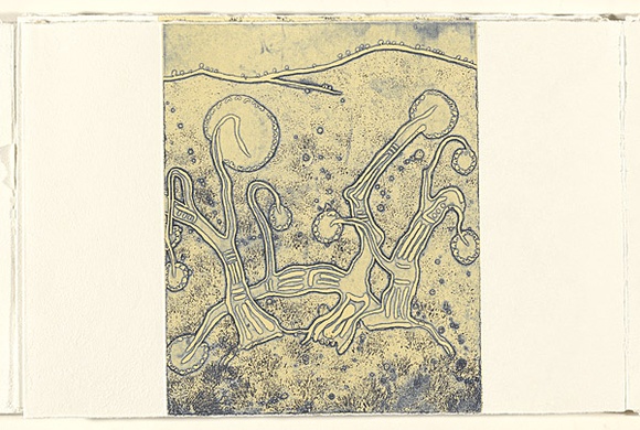 Title: b'Stone floor' | Date: 2007 | Technique: b'etching, open-bite, aquatint and relief, printed in colour, from one plate and one block'