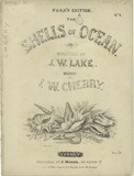 Artist: Park, A. | Title: Park's edition of the Shells of Ocean. | Date: 1861 (about)