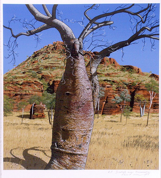 Artist: b'Rose, David.' | Title: b'Baobab near Kununurra' | Date: 1988 | Technique: b'screenprint, printed in colour, from multiple stencils' Artist: b'Rose, David.' | Title: b'Baobab near Kununurra' | Date: 1988 | Technique: b'screenprint, printed in colour, from multiple stencils'