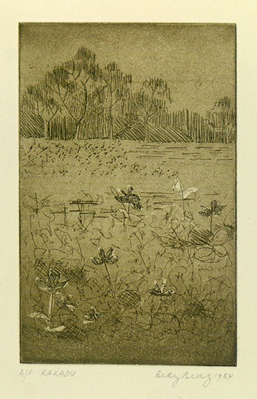 Artist: b'Bray, Betty.' | Title: b'Kakadu.' | Date: 1984 | Technique: b'aquatint, etching, roulette printed in green ink, from one copper/plate' Artist: b'Bray, Betty.' | Title: b'Kakadu.' | Date: 1984 | Technique: b'aquatint, etching, roulette printed in green ink, from one copper/plate'