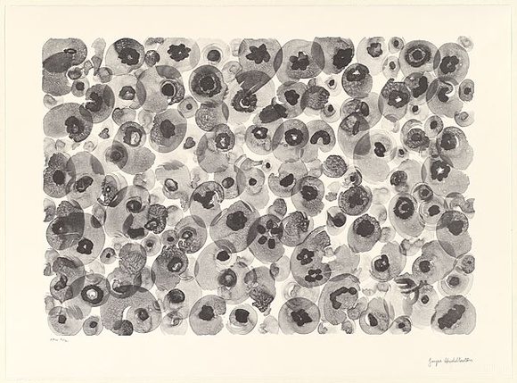 Artist: b'Huddleston, Joyce.' | Title: b'not titled (abstraction of flowers)' | Date: 2000, November | Technique: b'lithograph, printed in black ink, from one aluminium plate' Artist: b'Huddleston, Joyce.' | Title: b'not titled (abstraction of flowers)' | Date: 2000, November | Technique: b'lithograph, printed in black ink, from one aluminium plate'