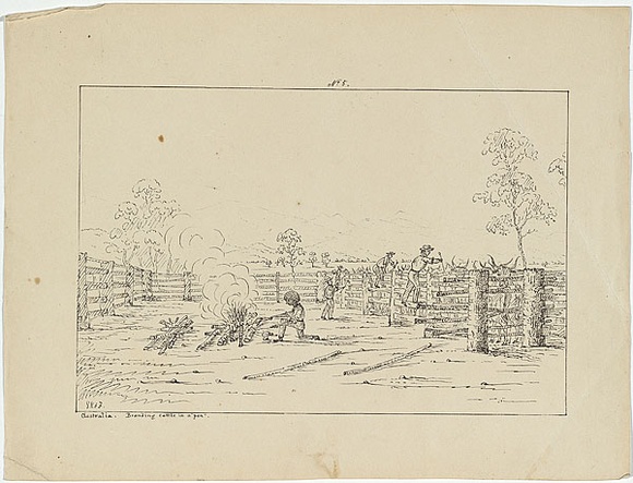 Artist: b'Fairholme, George Knight Erskine.' | Title: b'Australia. Branding cattle in a pen.' | Date: c.1853 | Technique: b'lithograph, printed in black ink, from one stone'