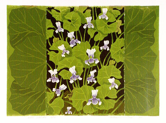 Artist: b'letcher, William.' | Title: b'Wild Violets.' | Date: 1980 | Technique: b'screenprint, printed in colour, from multiple stencils' | Copyright: b'With the permission of The William Fletcher Trust which provides assistance to young artists.' Artist: b'letcher, William.' | Title: b'Wild Violets.' | Date: 1980 | Technique: b'screenprint, printed in colour, from multiple stencils' | Copyright: b'With the permission of The William Fletcher Trust which provides assistance to young artists.'