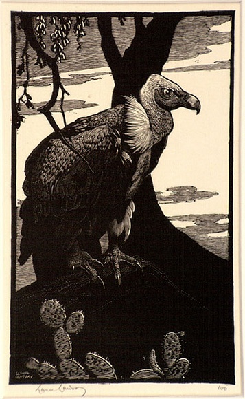 Artist: b'LINDSAY, Lionel' | Title: b'The Indian vulture' | Date: 1933 | Technique: b'wood-engraving, printed in black ink, from one block' | Copyright: b'Courtesy of the National Library of Australia' Artist: b'LINDSAY, Lionel' | Title: b'The Indian vulture' | Date: 1933 | Technique: b'wood-engraving, printed in black ink, from one block' | Copyright: b'Courtesy of the National Library of Australia'