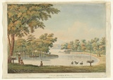 Title: Swan River, 50 miles up | Date: c.1829 | Technique: aquatint, printed in colour, from one copper plates; hand-coloured