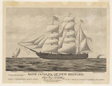 Title: Bark Catalpa of New Bedford | Date: 1876 | Technique: lithograph, printed in black ink, form one stone