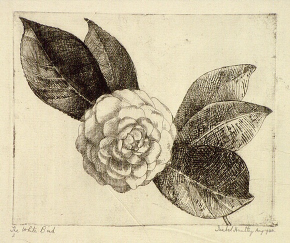 Artist: b'Huntley, Isabel.' | Title: b'The white bird' | Date: 1930, August | Technique: b'etching, printed in black ink, from one plate' | Copyright: b'\xc2\xa9 Estate of Isabel Huntley, Douglas Huntley' Artist: b'Huntley, Isabel.' | Title: b'The white bird' | Date: 1930, August | Technique: b'etching, printed in black ink, from one plate' | Copyright: b'\xc2\xa9 Estate of Isabel Huntley, Douglas Huntley'