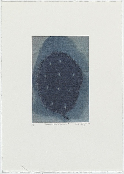 Artist: b'Wright, Helen.' | Title: b'(Hazy blue flower with white specks)' | Date: 2000 | Technique: b'digital print, printed in colour, from digital file' Artist: b'Wright, Helen.' | Title: b'(Hazy blue flower with white specks)' | Date: 2000 | Technique: b'digital print, printed in colour, from digital file'