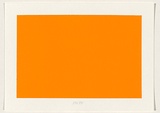 Title: not titled [fluro orange] | Date: 2004 | Technique: screenprint, printed in acrylic paint, from one stencil