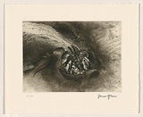 Title: Surge | Date: 2008 | Technique: etching and aquatint, printed in black ink, from one plate