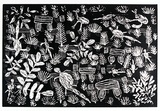 Artist: Kemarre Moore, Nora. | Title: not titled [No.63] | Date: 1990 | Technique: woodcut, printed in black ink, from one block