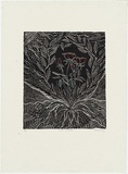 Artist: Mahoney, Bianca. | Title: Rose garden | Date: c.1998 | Technique: linocut, printed in black ink, from one block; hand-coloured
