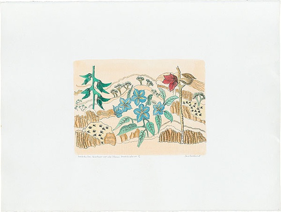 Artist: b'Bradhurst, Jane.' | Title: b'Kimberley rose, bird flower and wild solanum, Bungle Bungles WA.' | Date: 1997 | Technique: b'lithograph, printed in colour, from multiple stones; hand-coloured' Artist: b'Bradhurst, Jane.' | Title: b'Kimberley rose, bird flower and wild solanum, Bungle Bungles WA.' | Date: 1997 | Technique: b'lithograph, printed in colour, from multiple stones; hand-coloured'