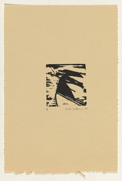 Artist: b'Withers, Rod.' | Title: b'Woodcut: from the set Australian birds of prey or the rogue sparrow' | Date: 1979 | Technique: b'woodcut, printed in black ink, from one block' Artist: b'Withers, Rod.' | Title: b'Woodcut: from the set Australian birds of prey or the rogue sparrow' | Date: 1979 | Technique: b'woodcut, printed in black ink, from one block'
